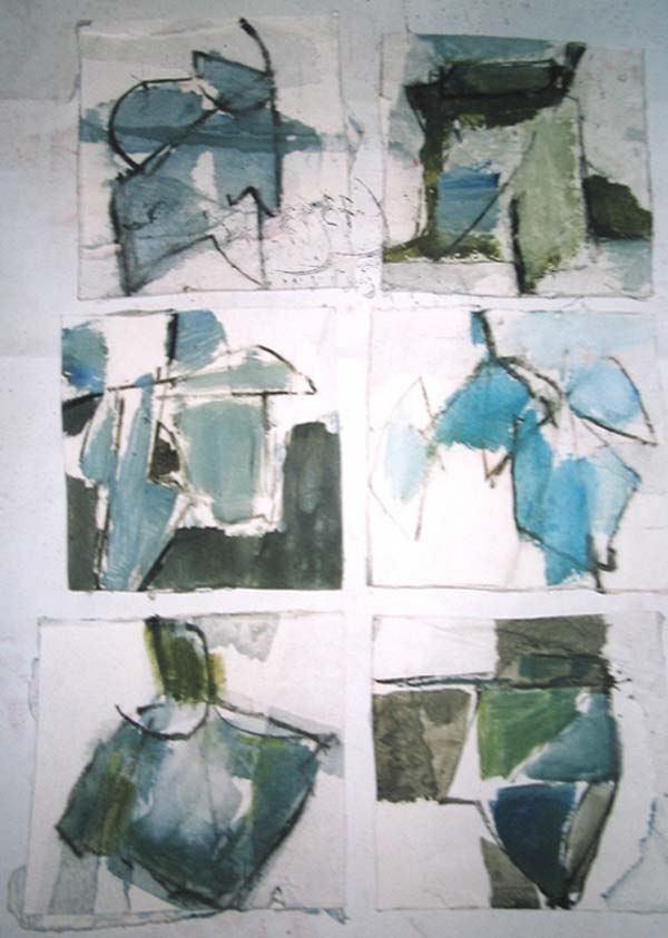 Petites feuilles de platane